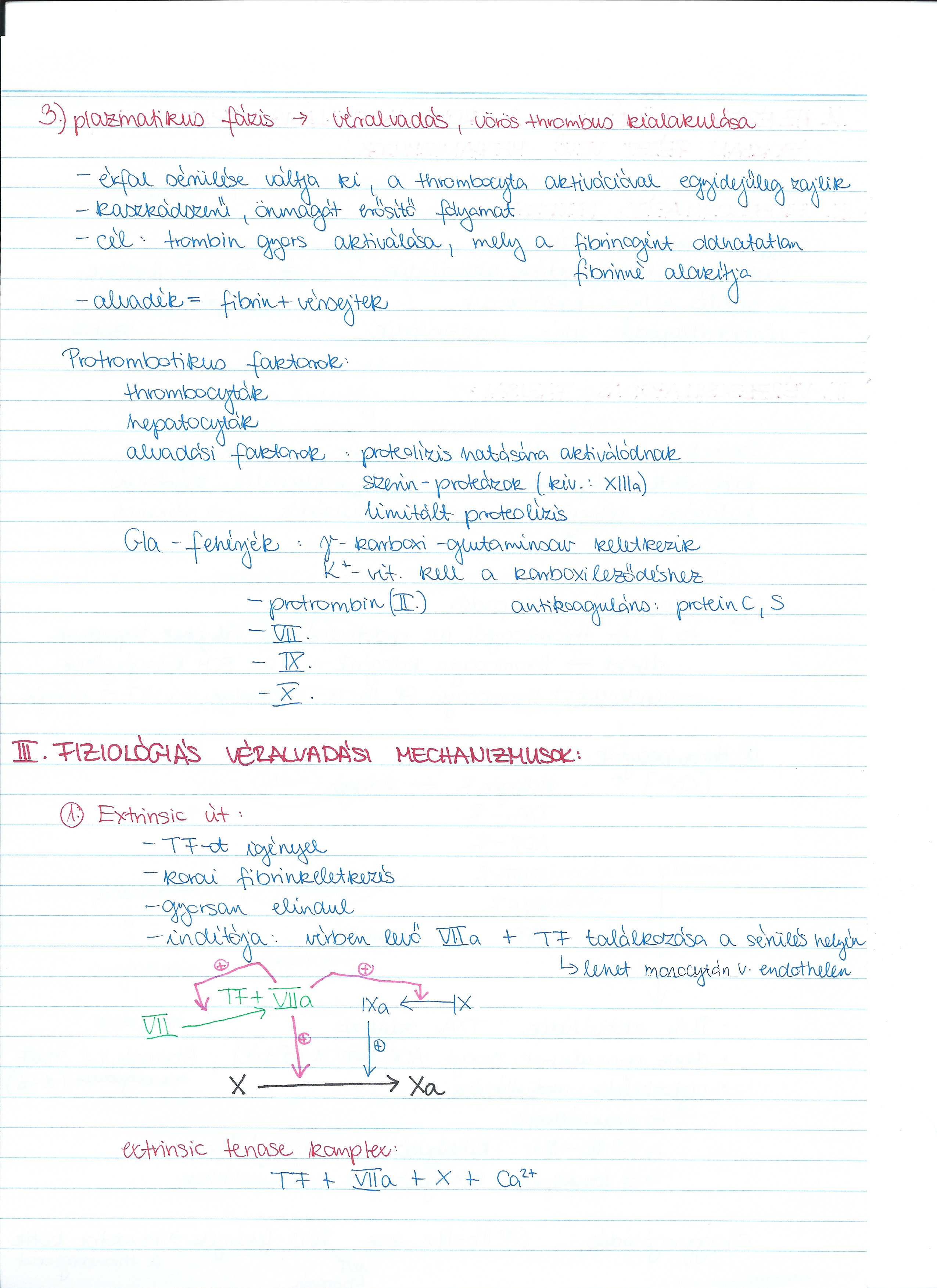 aok:targyak:biokemia_molekularis_es_sejtbiologia:biokemia_iii:tetelek:az_e_rfal_se_rüle_se_től2.jpg