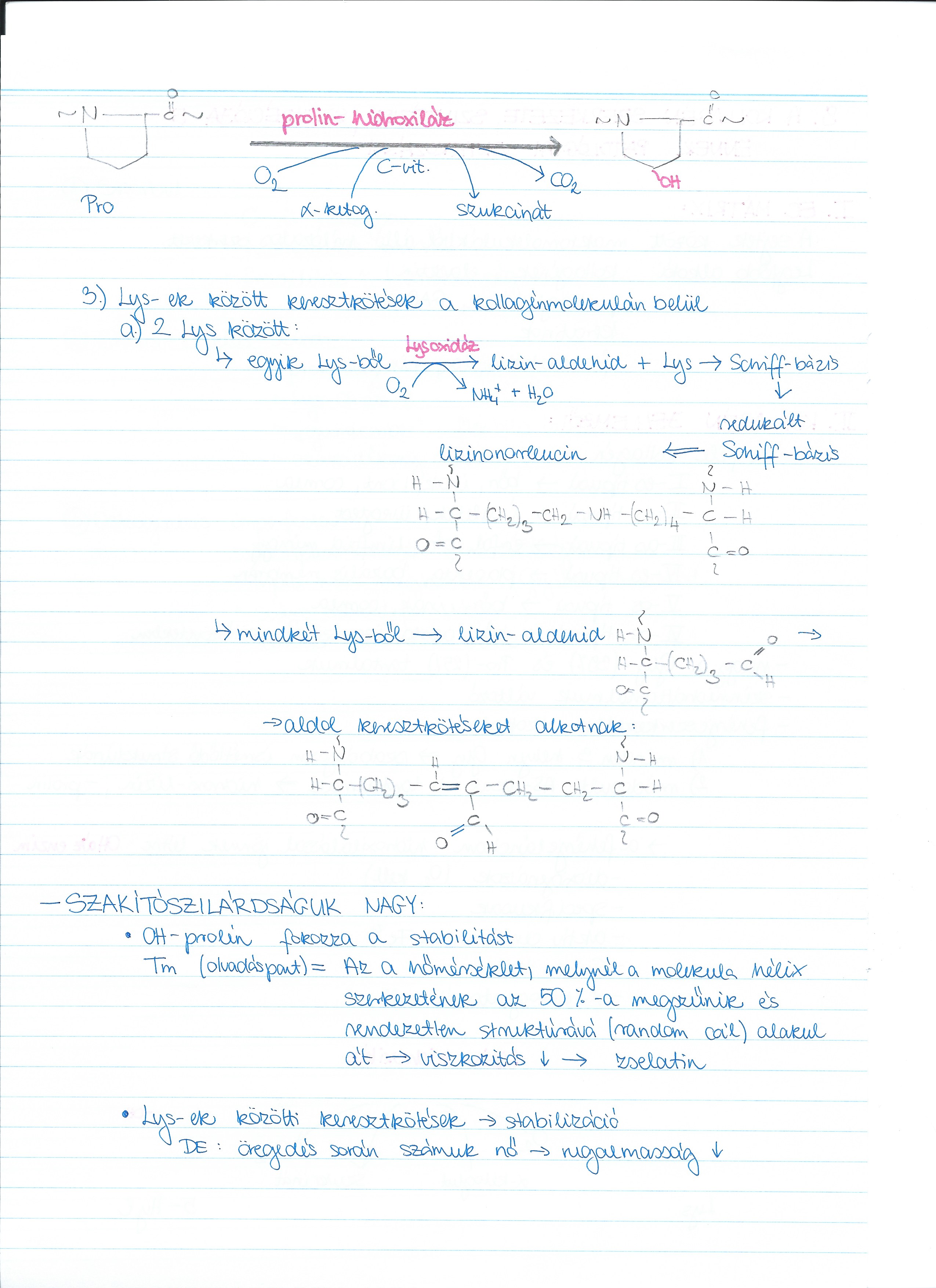 aok:targyak:biokemia_molekularis_es_sejtbiologia:biokemia_iii:tetelek:kollage_n_szerk2.jpg